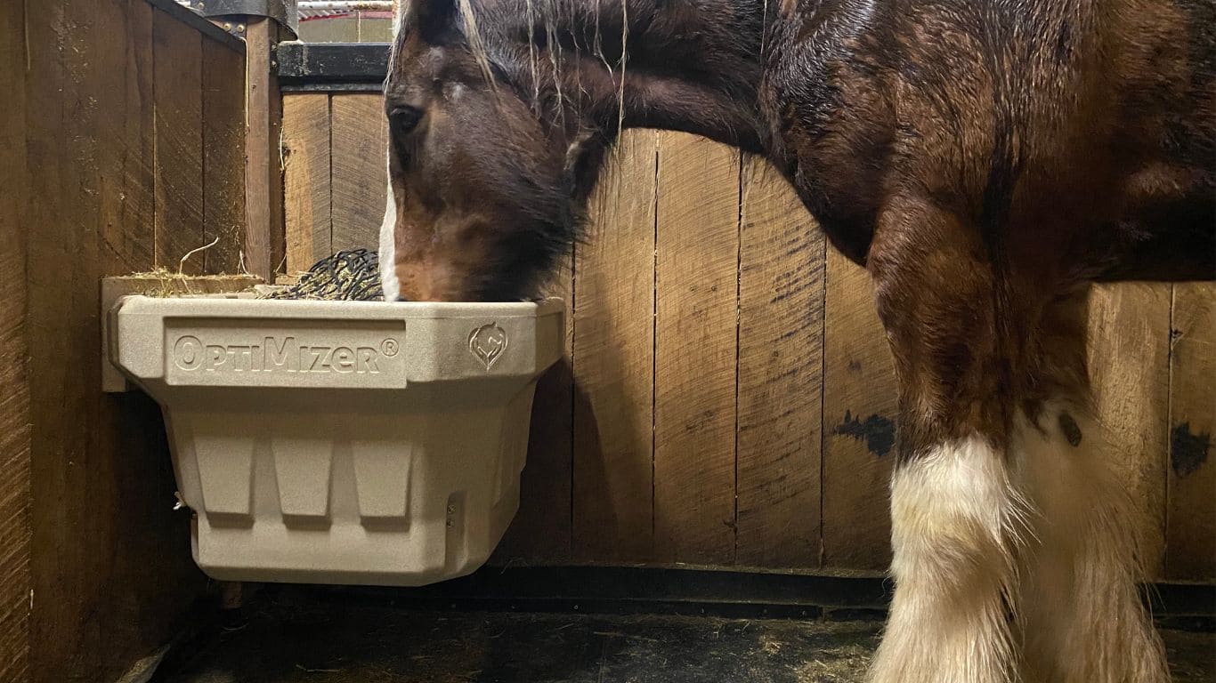 A clydesdale horse eating out of an In-Stall OptiMizer
