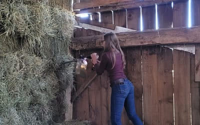 What Can We Learn from a Hay Analysis?