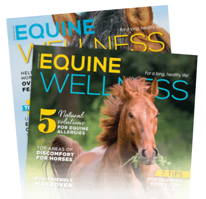 Cover of Equine Wellness Magazine