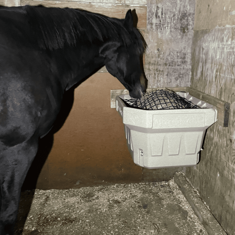 Thoroughbred eating out of an In-Stall OptiMizer